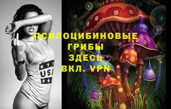 ГАЛЛЮЦИНОГЕННЫЕ ГРИБЫ Аркадак