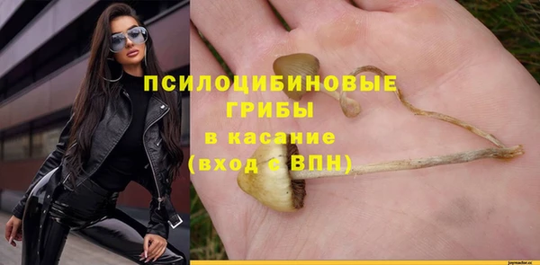 круглые Арсеньев