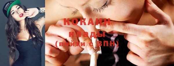 ГАЛЛЮЦИНОГЕННЫЕ ГРИБЫ Аркадак