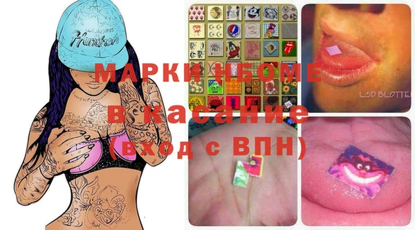 ГАЛЛЮЦИНОГЕННЫЕ ГРИБЫ Аркадак
