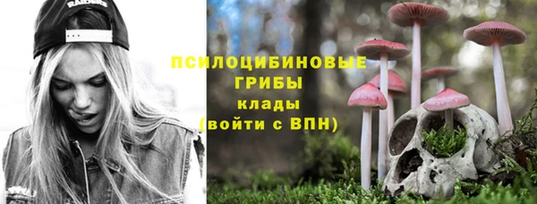ГАЛЛЮЦИНОГЕННЫЕ ГРИБЫ Аркадак